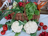 DSC03858.jpg