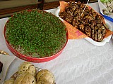 DSC03863.jpg