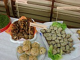 DSC03864.jpg