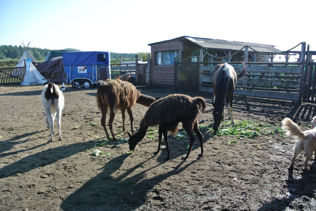 DSC_9627.jpg