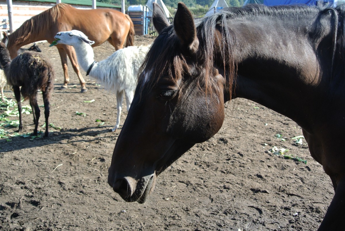 DSC_9639.jpg