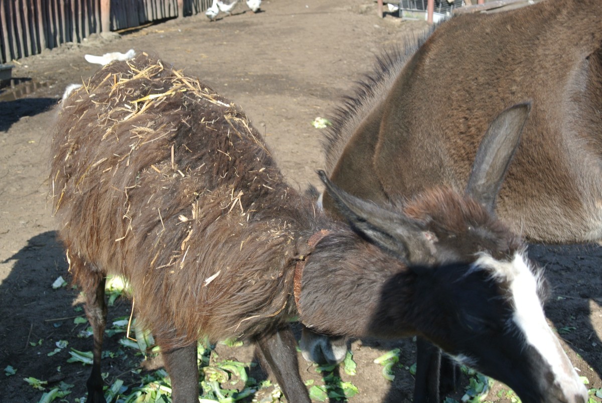 DSC_9644.jpg