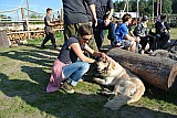 DSC_9606.jpg