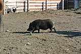 DSC_9630.jpg