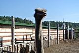 DSC_9632.jpg
