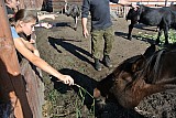 DSC_9640.jpg