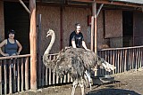 DSC_9643.jpg