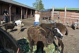 DSC_9645.jpg