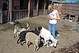 DSC_9646.jpg