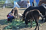 DSC_9654.jpg
