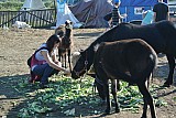 DSC_9655.jpg