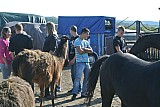 DSC_9661.jpg
