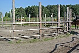 DSC_9691.jpg