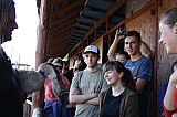 IMG_0004.jpg