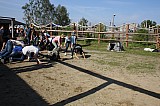 IMG_0010.jpg