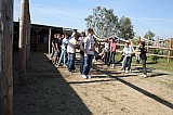 IMG_0011.jpg