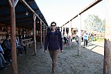IMG_9943.jpg
