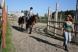 IMG_9950.jpg